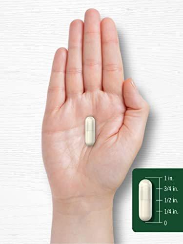 Carlyle Royal Jelly Supplement | 120 Capsules | Traditional Herbal Formula | Non-GMO and Gluten Free