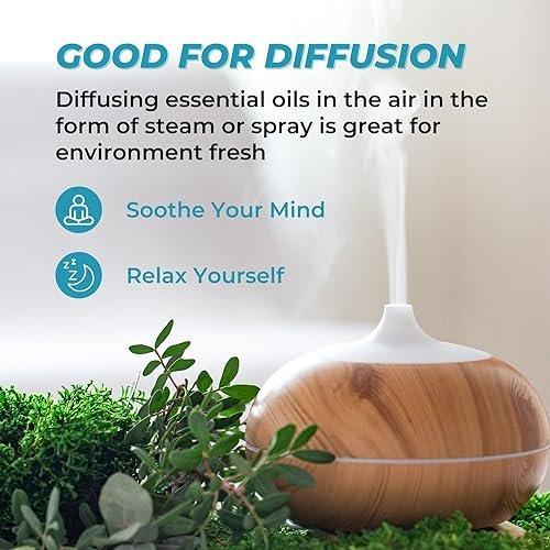 Essential Oils Blend Set, Relaxation Fragrance Gift for Women and Men, Natural Aromatherapy Kit for Diffuser, Home, Body Topical Massage (Dream, Breathe, Balance, Stress, Thief) - görsel 1