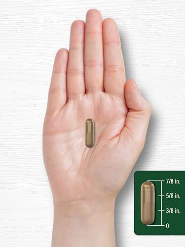 Carlyle Astragalus Supplement | 150 Capsules | Root Extract Formula | Vegetarian, Non-GMO & Gluten Free
