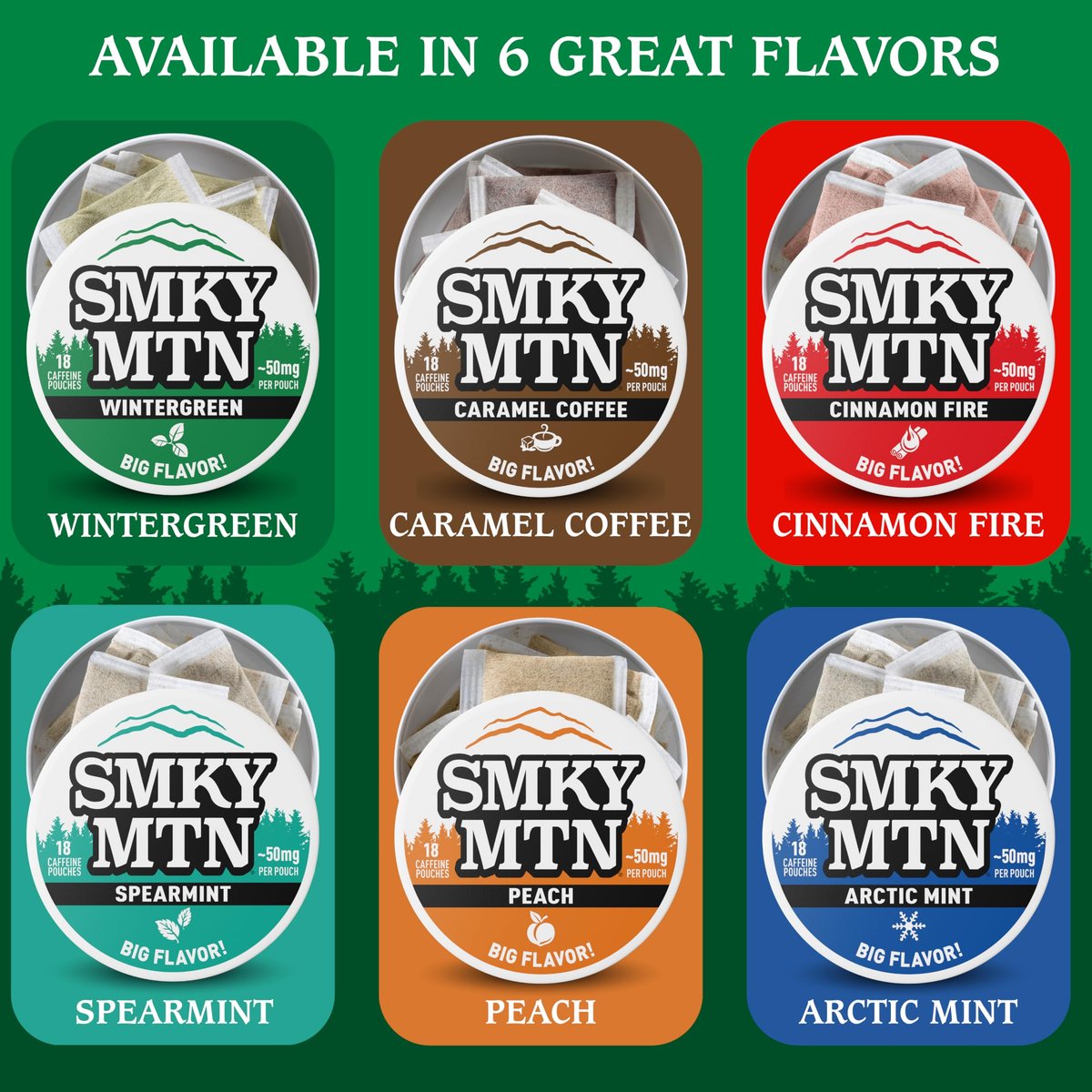 SMOKEY MOUNTAIN Caffeinated Pouches - Wintergreen - Tobacco Free and Nicotine Free - 5 Can Box - 15 Pouches Per Can - görsel 13