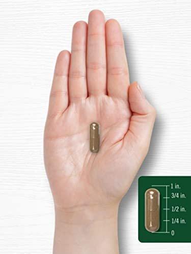 Carlyle Cat's Claw Herb Capsules 1000mg | 180 Count | Uncaria Tomentosa | Non-GMO, Gluten Free Supplement - görsel 6