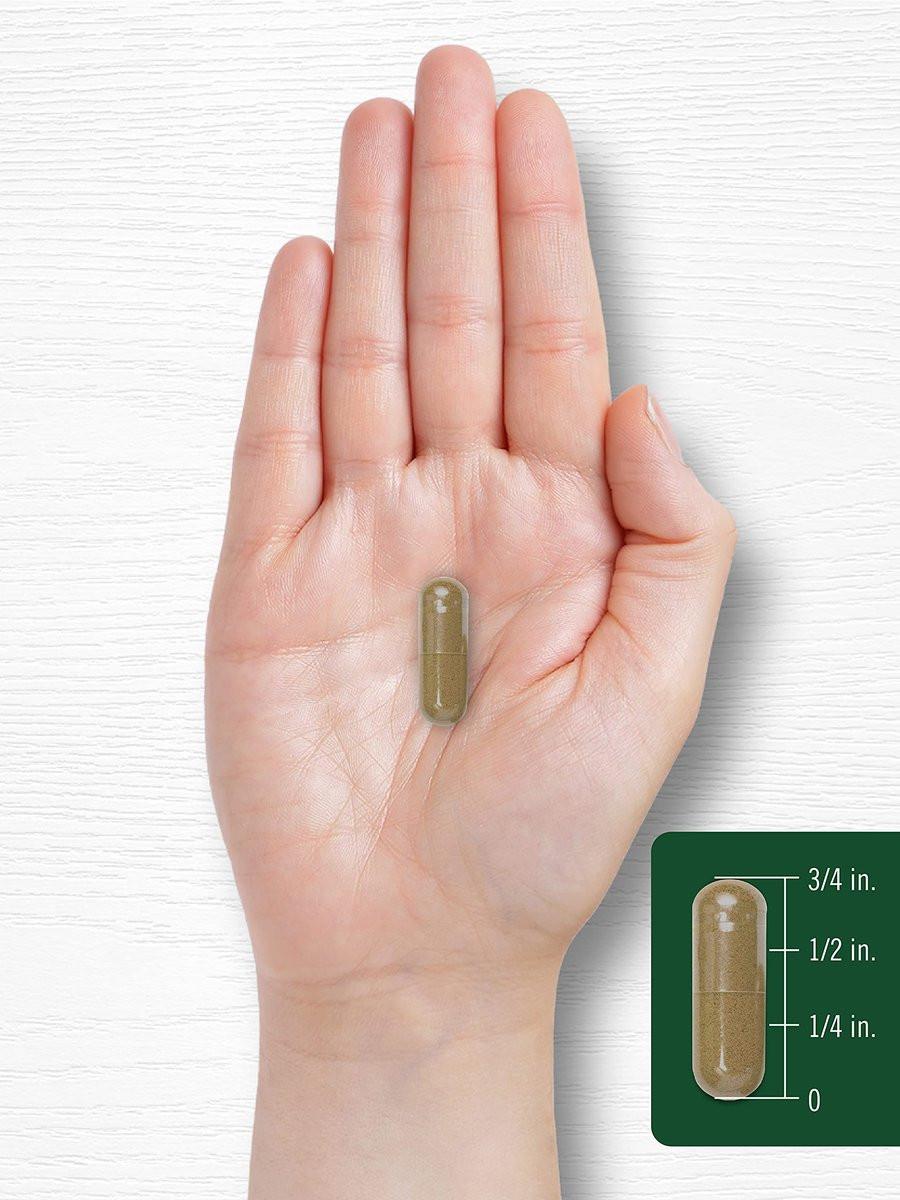 Carlyle Dandelion Root Extract | 300 Capsules | Herb Supplement | Taraxacum Officinale | Non-GMO and Gluten Free - görsel 13