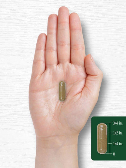 Carlyle Dandelion Root Extract | 300 Capsules | Herb Supplement | Taraxacum Officinale | Non-GMO and Gluten Free