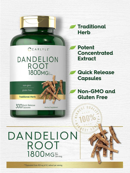 Carlyle Dandelion Root Extract | 300 Capsules | Herb Supplement | Taraxacum Officinale | Non-GMO and Gluten Free