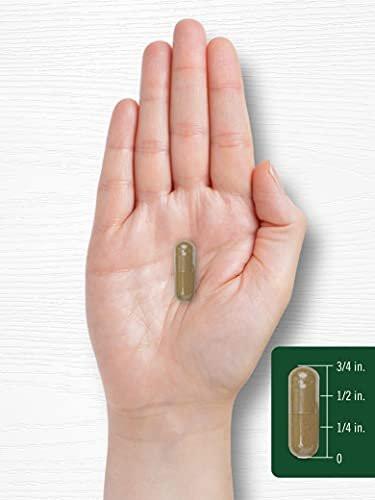 Carlyle Dandelion Root Extract | 300 Capsules | Herb Supplement | Taraxacum Officinale | Non-GMO and Gluten Free - görsel 14