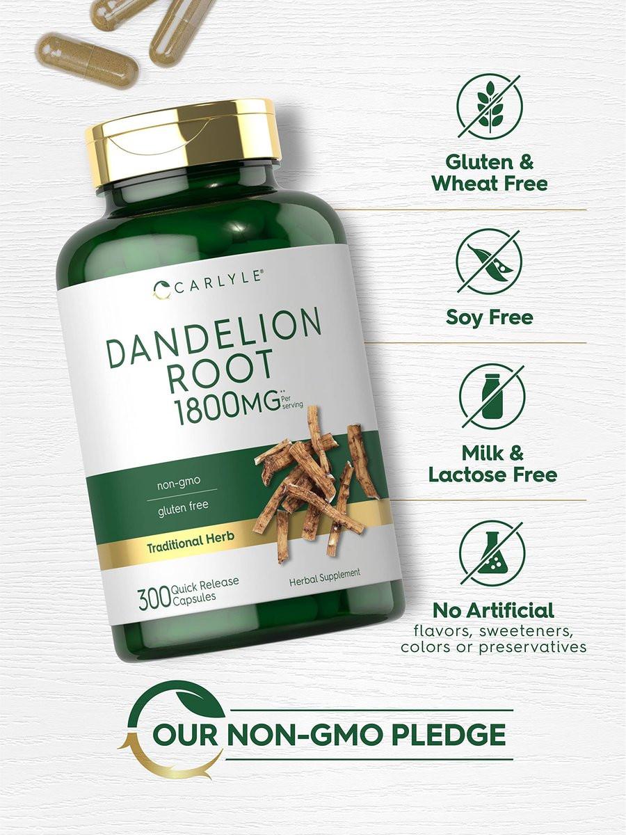 Carlyle Dandelion Root Extract | 300 Capsules | Herb Supplement | Taraxacum Officinale | Non-GMO and Gluten Free - görsel 7