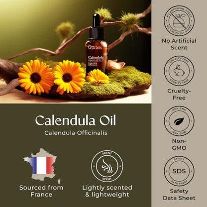 Gya Labs Calendula Oil - 1 Fl Oz - Carrier Oil for Hair, Skin, Face, Scalp & Body Massage