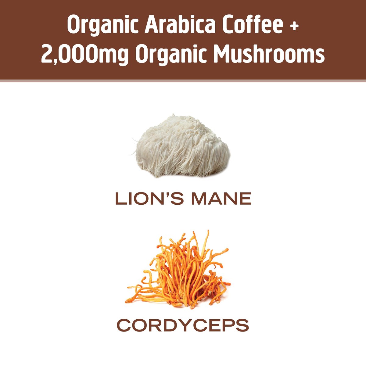 OM MUSHROOM SUPERFOOD Instant Coffee – Organic Arabica with Lion’s Mane, Cordyceps, Reishi, Turkey Tail & Ginkgo for Energy, Focus & Clarity – 6.24 oz Canister, 30 Servings - görsel 11