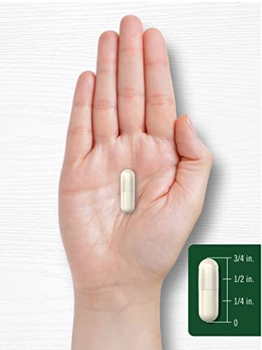 Carlyle Wild Yam Root Capsules | 200 Count | Traditional Herbal Extract | Non-GMO, Gluten Free