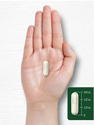 Carlyle Wild Yam Root Capsules | 200 Count | – Traditional Herbal Extract: Wild yam root has been used for – Image 1