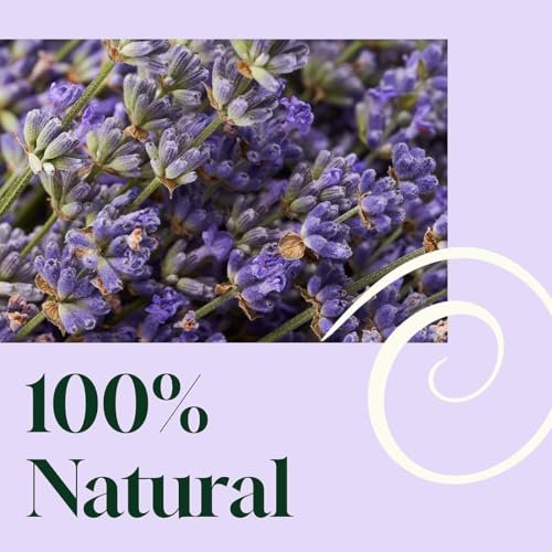 Plant Therapy Home Blissful Dreams Lavender Pillow and Linen Mist and Room Spray, for Relaxation & Sleep, Powered by Essential Oils Like Lavender & Roman Chamomile, Aromatherapy Sleep Spray, 8 oz - görsel 7