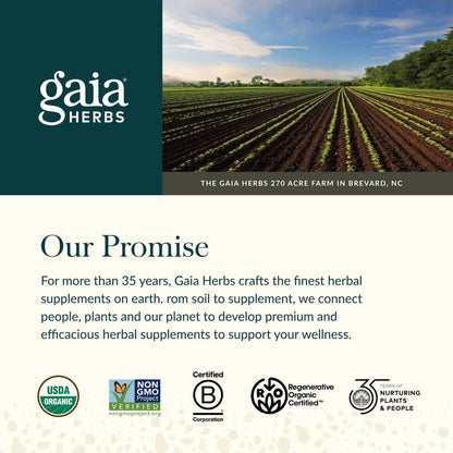 Gaia Herbs Organic Ashwagandha Gummies - Stress Support* - Made with Cinnamon & Ginger - Gluten Free & Vegan - 45 Count (15 Servings)
