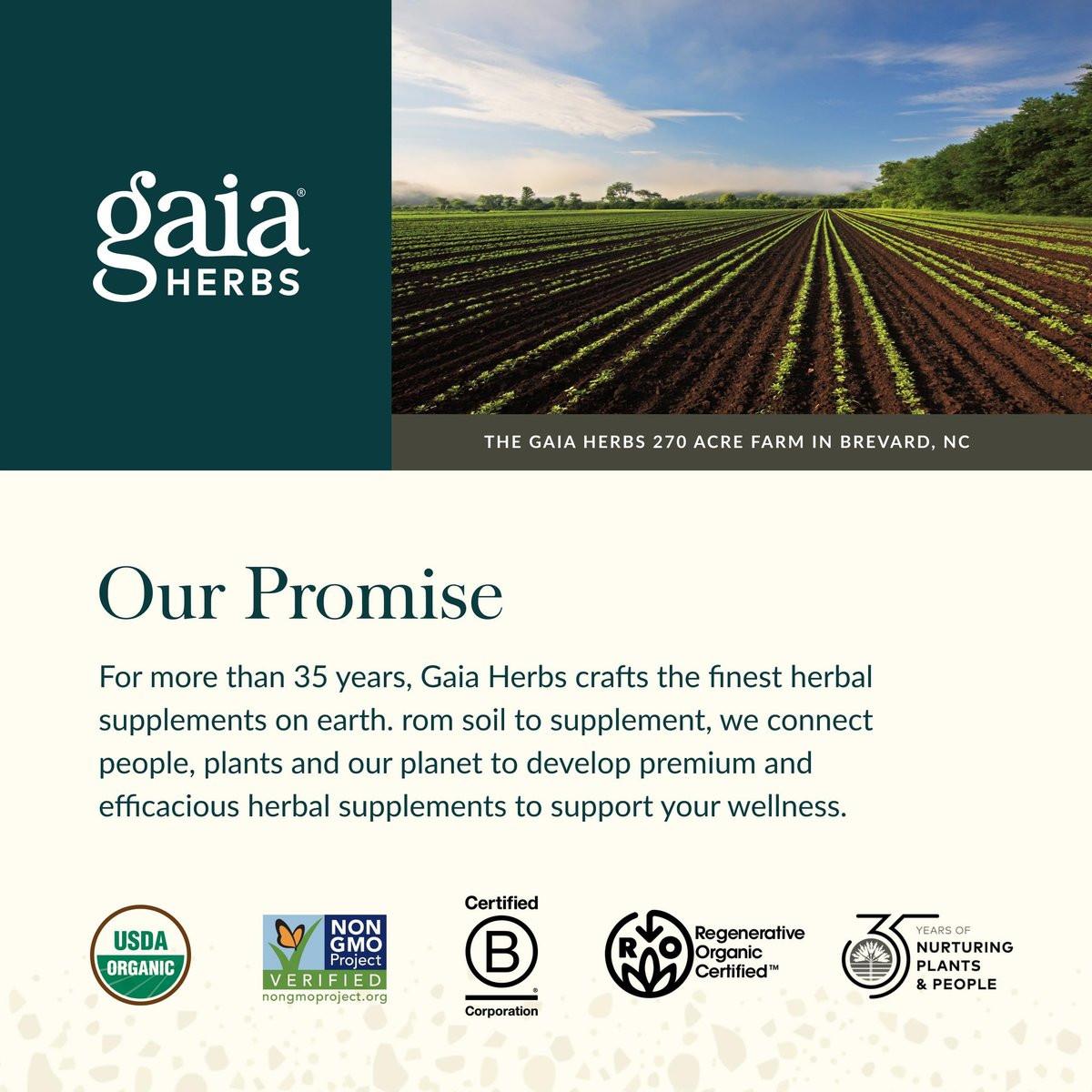 Gaia Herbs Organic Ashwagandha Gummies - Stress Support* - Made with Cinnamon & Ginger - Gluten Free & Vegan - 45 Count (15 Servings) - görsel 11
