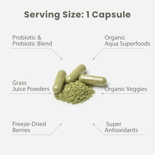 Paradise Herbs Earth's Blend Once Daily – Probiotic Support: Contains beneficial probiotics to promote digestive – Image 15
