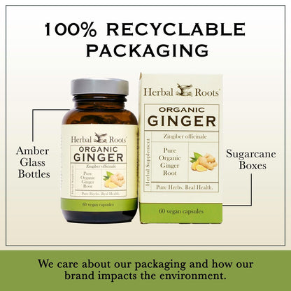 Herbal Roots Ginger Supplement | Organic – Vegan and Natural: Capsules are plant-based, free from gelatin, and – Image 10