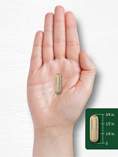 Carlyle Noni Fruit Capsules | 240 Count | Traditional Herb Supplement | Non-GMO, Gluten Free - görsel 4