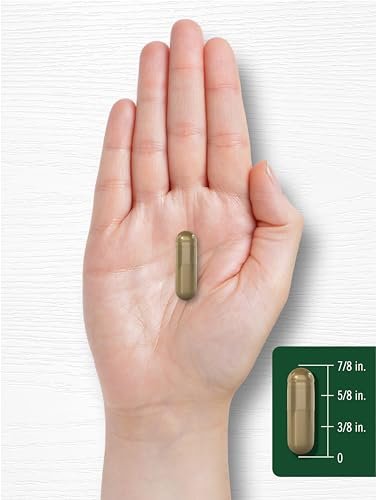Carlyle Andrographis Paniculata Capsules | 90 Pills | Herb Extract Supplement | Non-GMO and Gluten Free - görsel 10