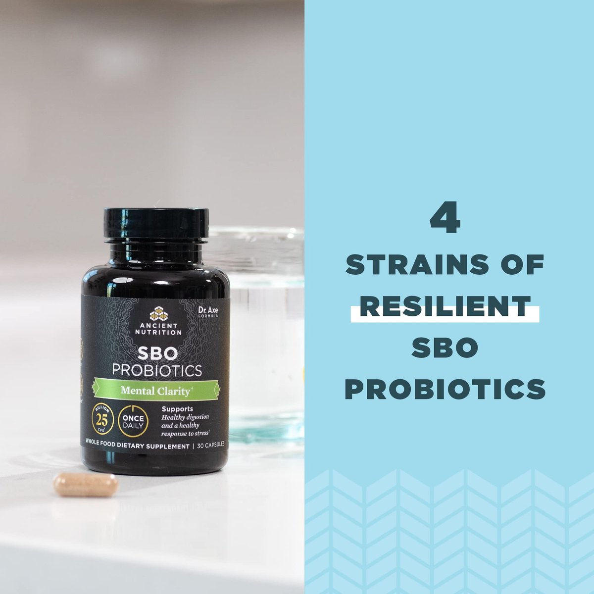 Ancient Nutrition Probiotics for Mental Clarity, Once Daily Probiotics 30Ct, Helps Promote Mental Clarity and Concentration, Supports Healthy Energy and More Restful Sleep, 25 Billion CFUs* - görsel 4