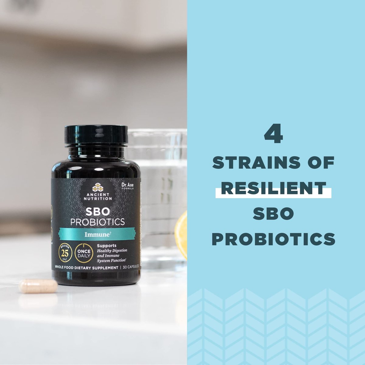Ancient Nutrition Probiotics for Immune Support, SBO Once Daily Probiotics with Vitamin C and Vitamin D, 30Ct for Healthy Digestion and Immune System Function Support, 25 Billion CFUs* - görsel 6