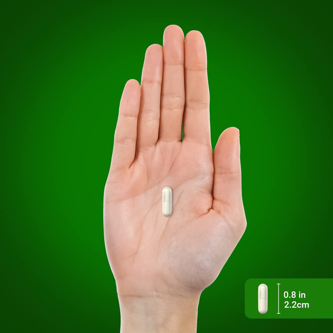 Piping Rock Green Lipped Mussel | 120 Capsules | Freeze Dried from New Zealand | Non-GMO, Gluten Free Supplement for Humans - görsel 13