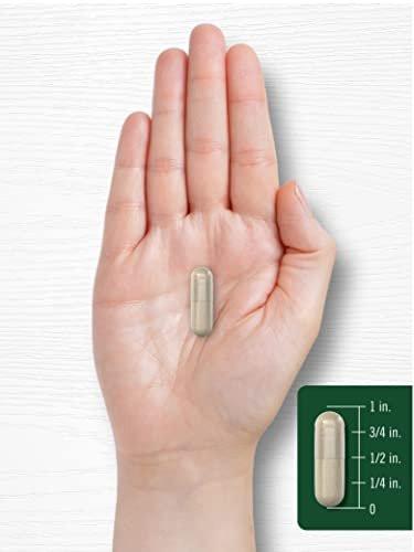 Carlyle Silica Supplement Capsules | 200 Count | from Horsetail Extract | Non-GMO & Gluten Free - görsel 14