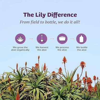 Lily Of The Desert Aloe Vera Gel - Inner Fillet Thicker Consistency Aloe Vera Drink with Natural Vitamins, Digestive Enzymes for Gut Health, Stomach Relief, Wellness, Glowing Skin, 32 Oz (Pack of 2)