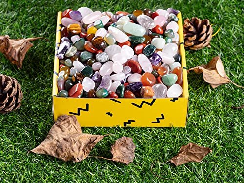 FORBY 3lb Natural Bulk Assorted Tumbled Polished Stones Crystal Set Real Raw Stones for Home Decoration Reiki Gifts Energy Therapy Beginners Size 15 MM - görsel 12