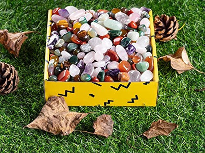 FORBY 3lb Natural Bulk Assorted Tumbled Polished Stones Crystal Set Real Raw Stones for Home Decoration Reiki Gifts Energy Therapy Beginners Size 15 MM