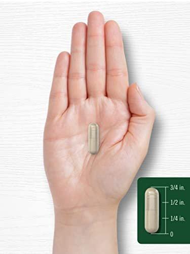 Carlyle Rosemary Capsules | 200 Count | Non-GMO & Gluten Free Extract - görsel 1