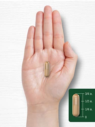 Carlyle Coleus Forskohlii Capsules | 100 Count | Forskolin Standardized Extract Supplement | Non-GMO & Gluten Free