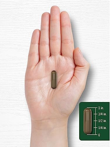 Carlyle Schisandra Supplement 1160 mg | 200 Capsules | Berry Fruit Extract | Non-GMO and Gluten Free - görsel 2