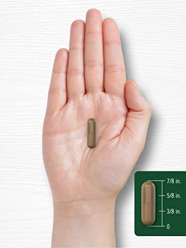 Carlyle Guarana Extract Capsules | 200 Count | Naturally Occurring Caffeine Supplement | Non-GMO, Gluten Free