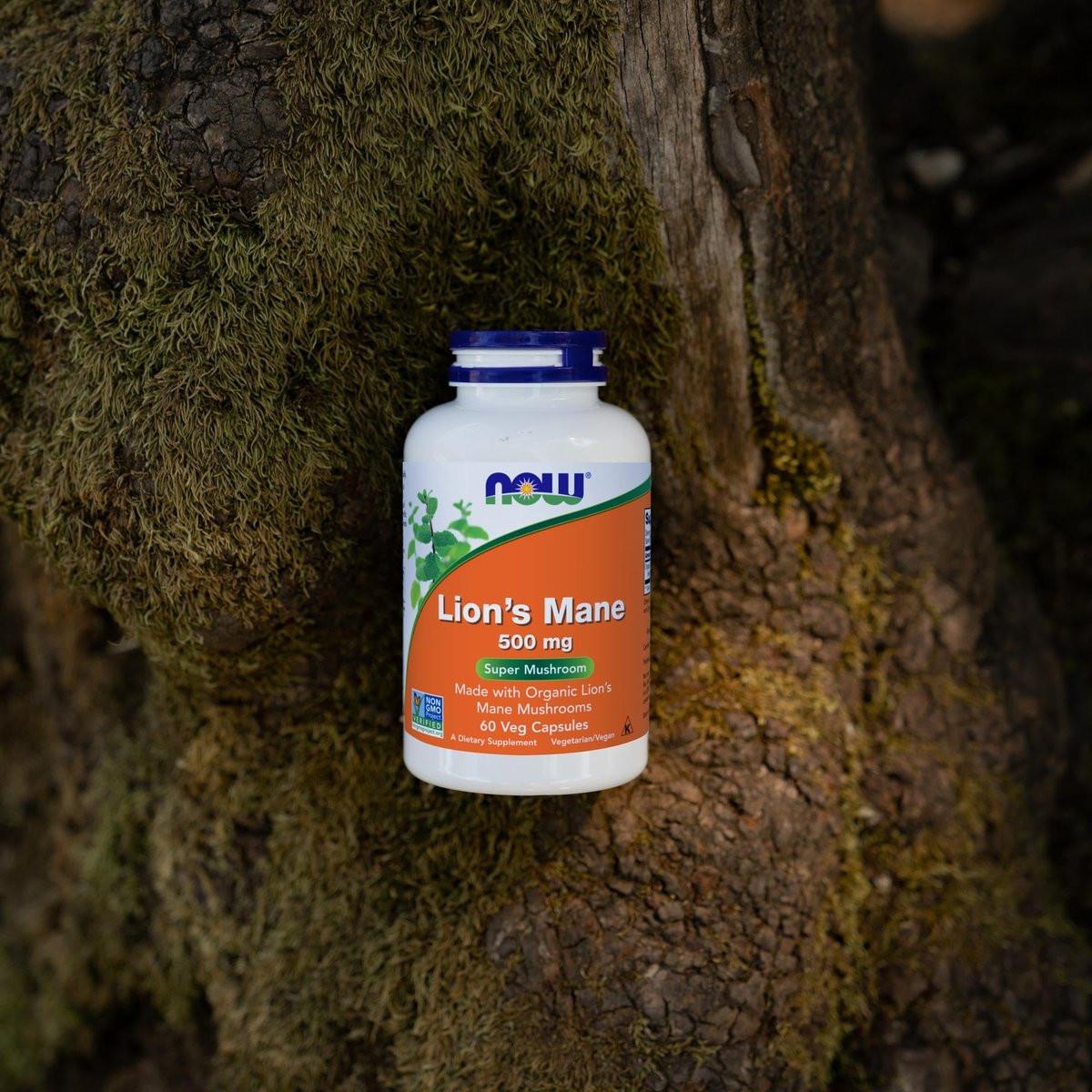 NOW Foods Supplements, Lion's Mane 500 mg, Super Mushroom, Made with Organic Lion's Mane Mushrooms, 60 Veg Capsules - görsel 1