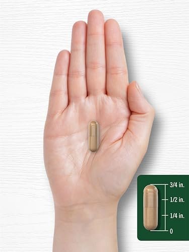 Carlyle Vitex Chasteberry Supplement | 150 Capsules | Vitex Agnus-Castus Fruit for Women | Non-GMO, Gluten Free