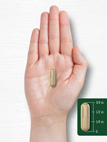 Carlyle Yucca Root Extract | 120 Capsules | – Convenient Capsules: Easy to take with water, perfect for daily use. – Image 3