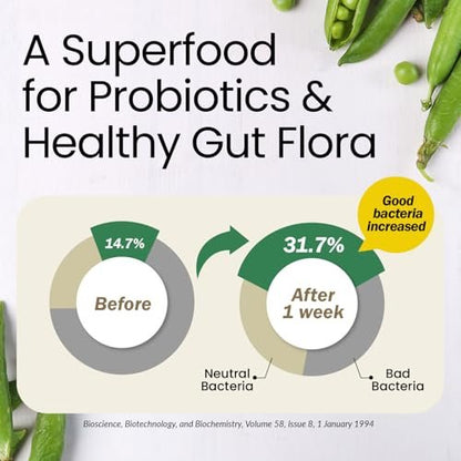 LABO Nutrition Bioactive Organic Fiber – – Vegan & Non-GMO: Suitable for plant-based diets and free from – Image 6