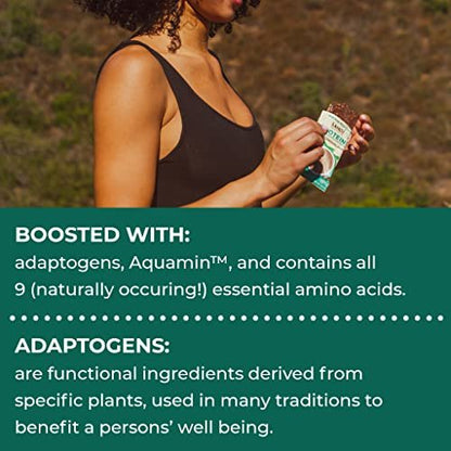Laird Superfood Functional Protein Bars – Mint Chocolate, 10 Count (Pack of 1)