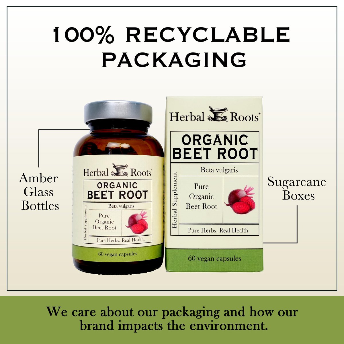 Herbal Roots Organic Beet Root Powder – Antioxidant Rich: Contains betalains and other antioxidants that help – Image 8