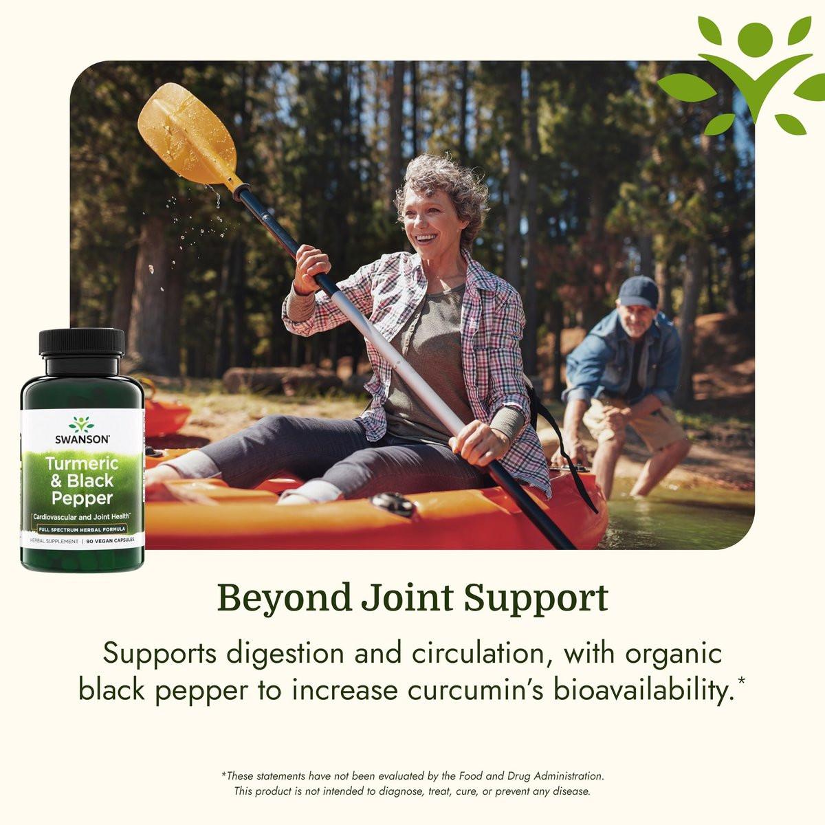 Swanson Premium Turmeric & Black Pepper Antioxidant Supplement for Active Adults Seeking Joint, Digestion, and Circulation Support - Non-GMO, Organic (90 Vegan Capsules) - görsel 9
