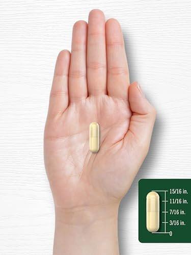 Carlyle Soy Isoflavones Supplement | 200 Capsules | Non-GMO and Gluten Free Formula for Men and Women - görsel 14