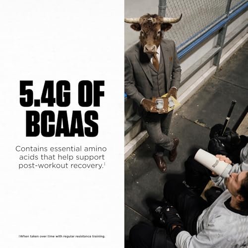 Levels Grass Fed Whey Protein Powder, No – Flavor: Double Chocolate – Image 9