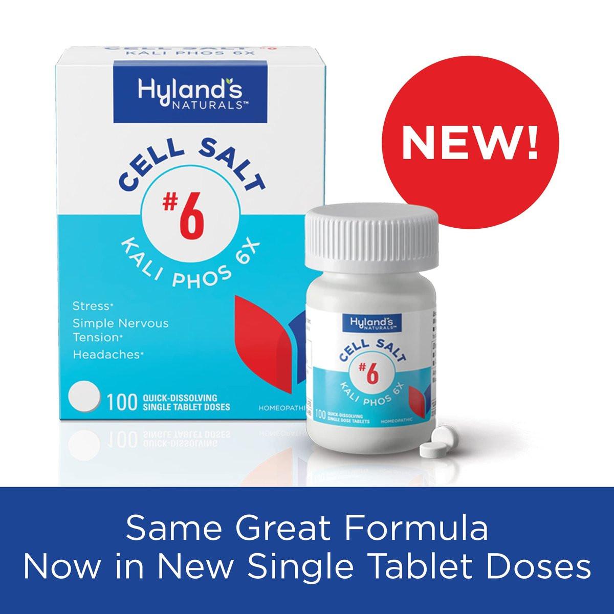 Hyland's No. 6 Cell Salt Kali Phos 6X Tablets, Relief of Headaches, and Simple Nervous Tension, Quick Dissolving Tablets, 100 Count - görsel 4