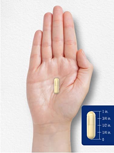 Carlyle Gelatin Capsules | 2160 mg | 250 Pills | with Silica Optimizer | Non-GMO, and Gluten Free Supplement