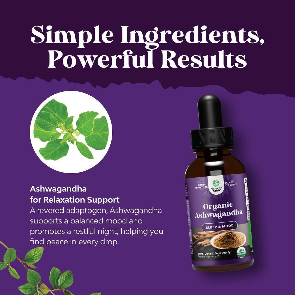USDA Organic Ashwagandha Liquid Drops - Ashwagandha Root Extract for Stress and Mood Support - Delicious Pure Adaptogen Drops for Adults - Alcohol-Free Herbal Tinctures for Rest - 1 Fl Oz - görsel 10