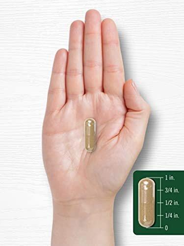 Carlyle Artichoke Extract Capsules | 200 Count | Non-GMO, Gluten Free Supplement - görsel 1
