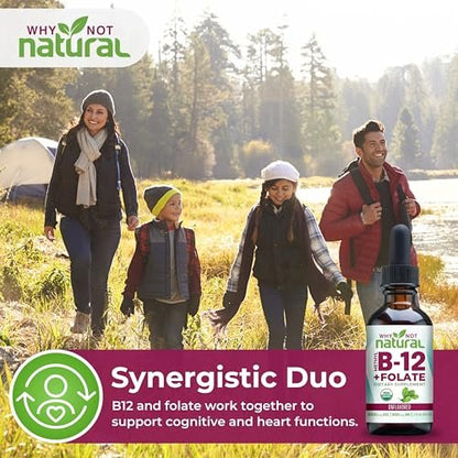 Why Not Natural Vitamin B12 Liquid Plus Folate - Organic Sublingual Extra Strength Vegan Drops - Methyl Supplement with Folinic Acid