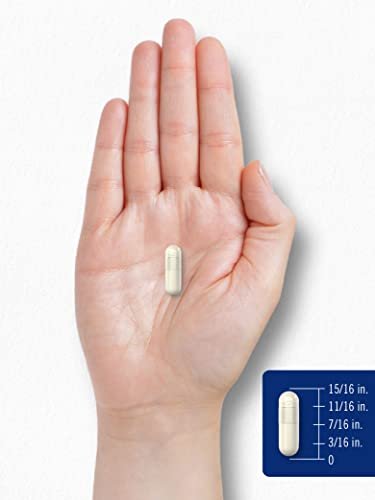 Carlyle Chitosan Supplement 1200mg | 120 Quick Release Capsules | Non-GMO, Gluten Free | Ultra Lipo - görsel 7
