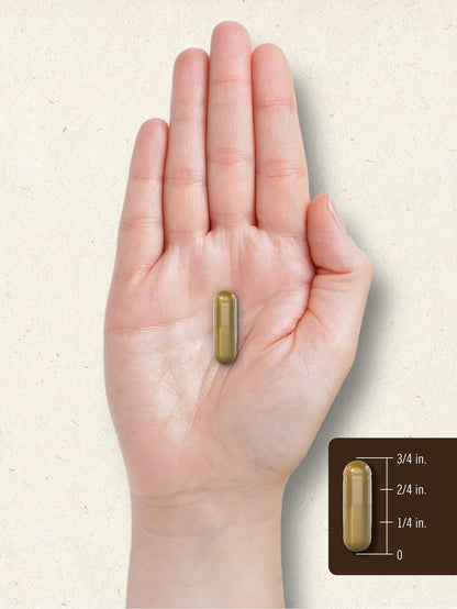 Carlyle Bee Propolis Capsules | 150 Count | – High Potency Extract: Each capsule contains a standardized bee – Image 13