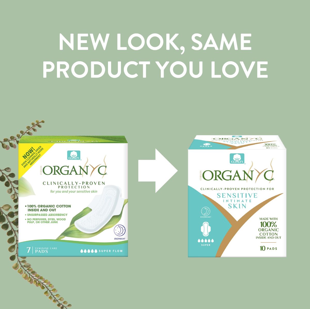 Organyc New and Improved 100% Certified Organic Cotton Inside and Out Overnight Feminine Pads, Heaviest Flow, Super Absorbency 2.0, 7 Count - görsel 1