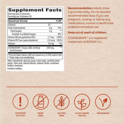Nature's Way Brain Fuel Gummies, Brain Supplement for Focus and Memory Support, Clinically Studied Cognigrape Supports Cognition, Vitamins B6 & B12 Support Brain Function, Grape Flavored, 60 Count